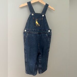 Hanna Andersson 80 (18-24 mos) Embroidered Denim Overalls